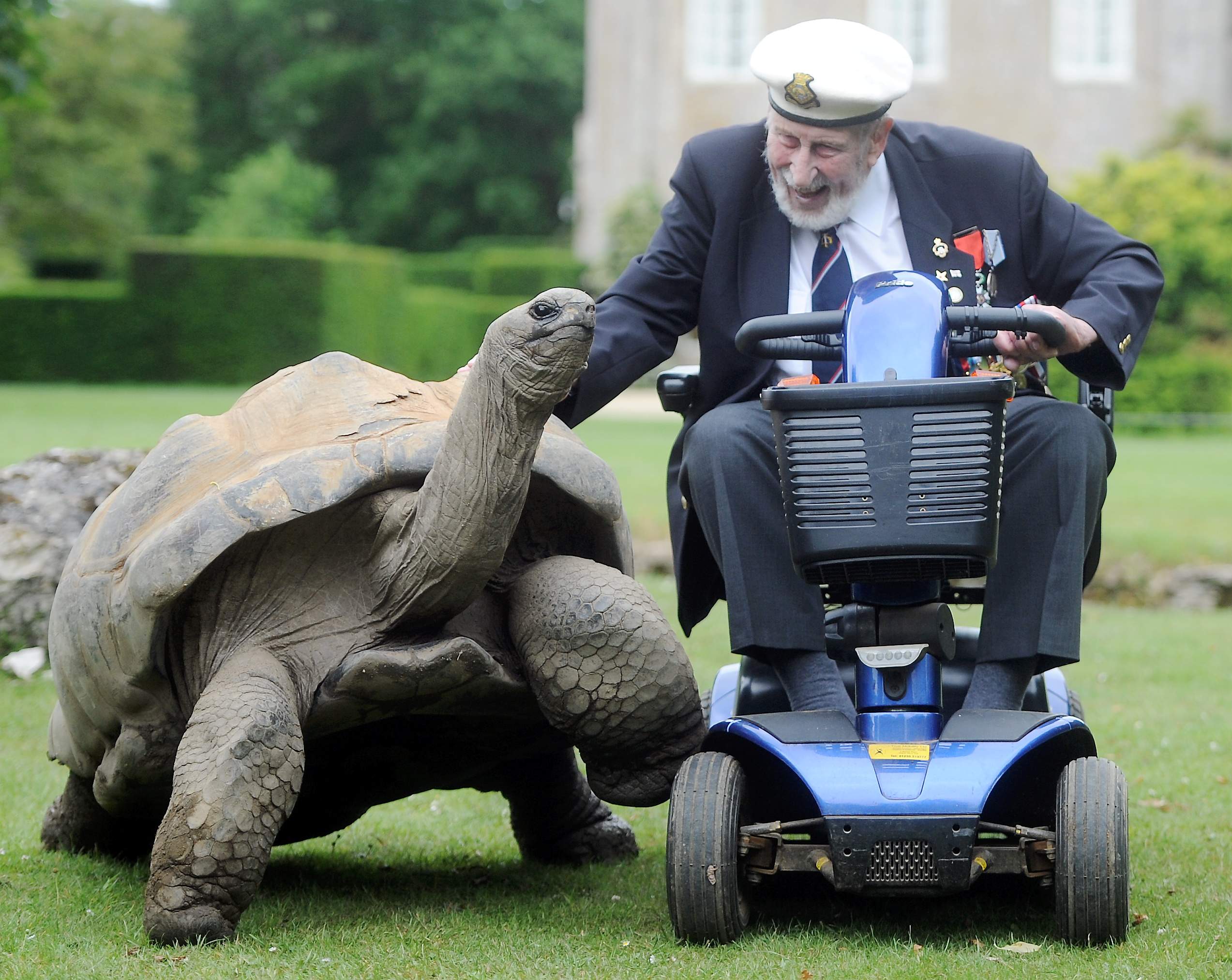 D-DAY AND RUSSIAN CONVOY VETERAN GEORGE WINTER 95YRS MEETS GEORGE GIANT TORTOISE 85YRS COTSWOLD WILDLIFE PARK18
