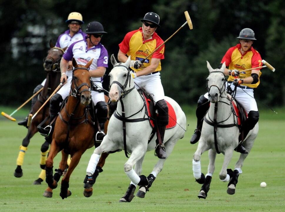 PRINCE WILLIAM 10