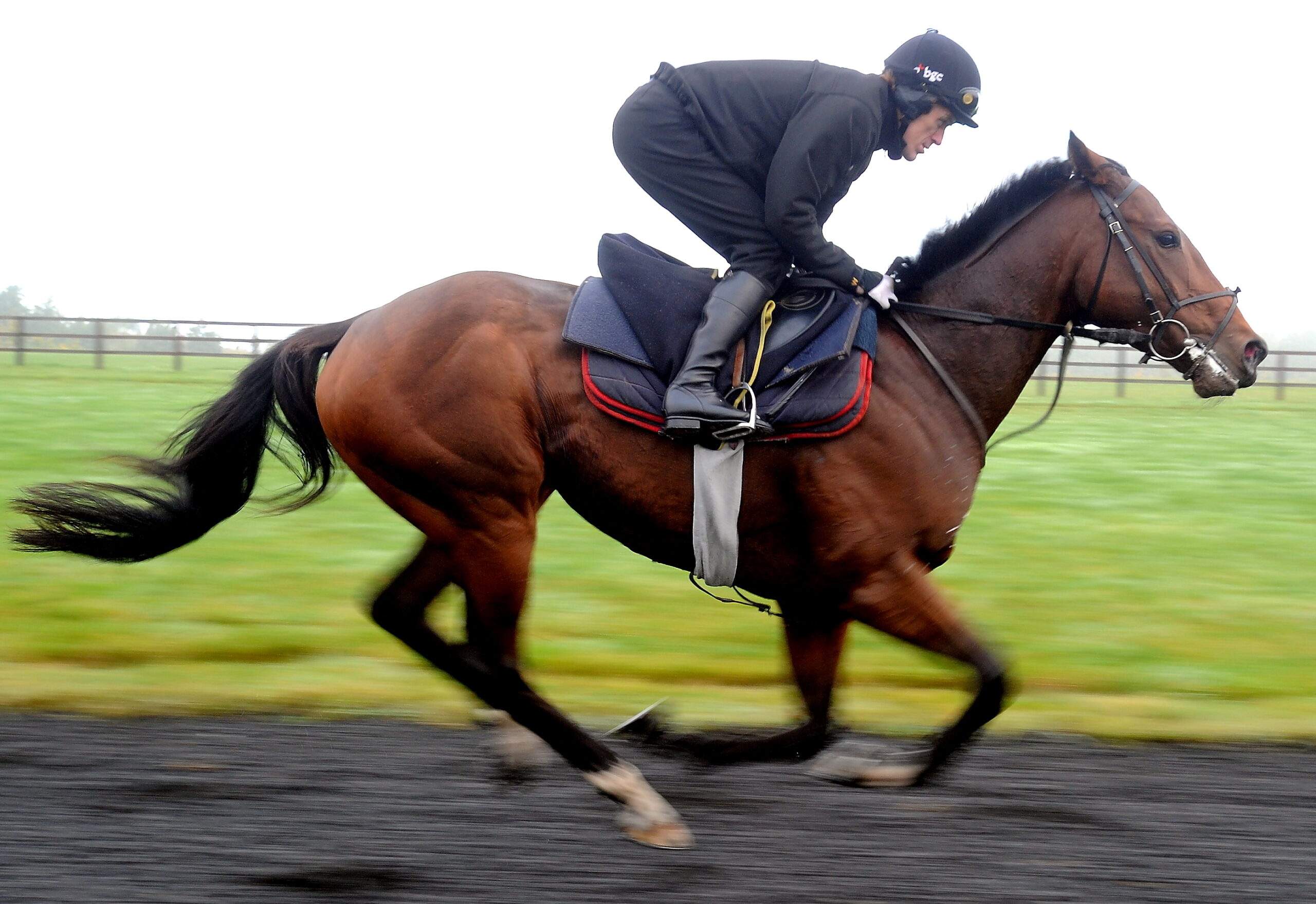 APMCCOY ON GALLOPS