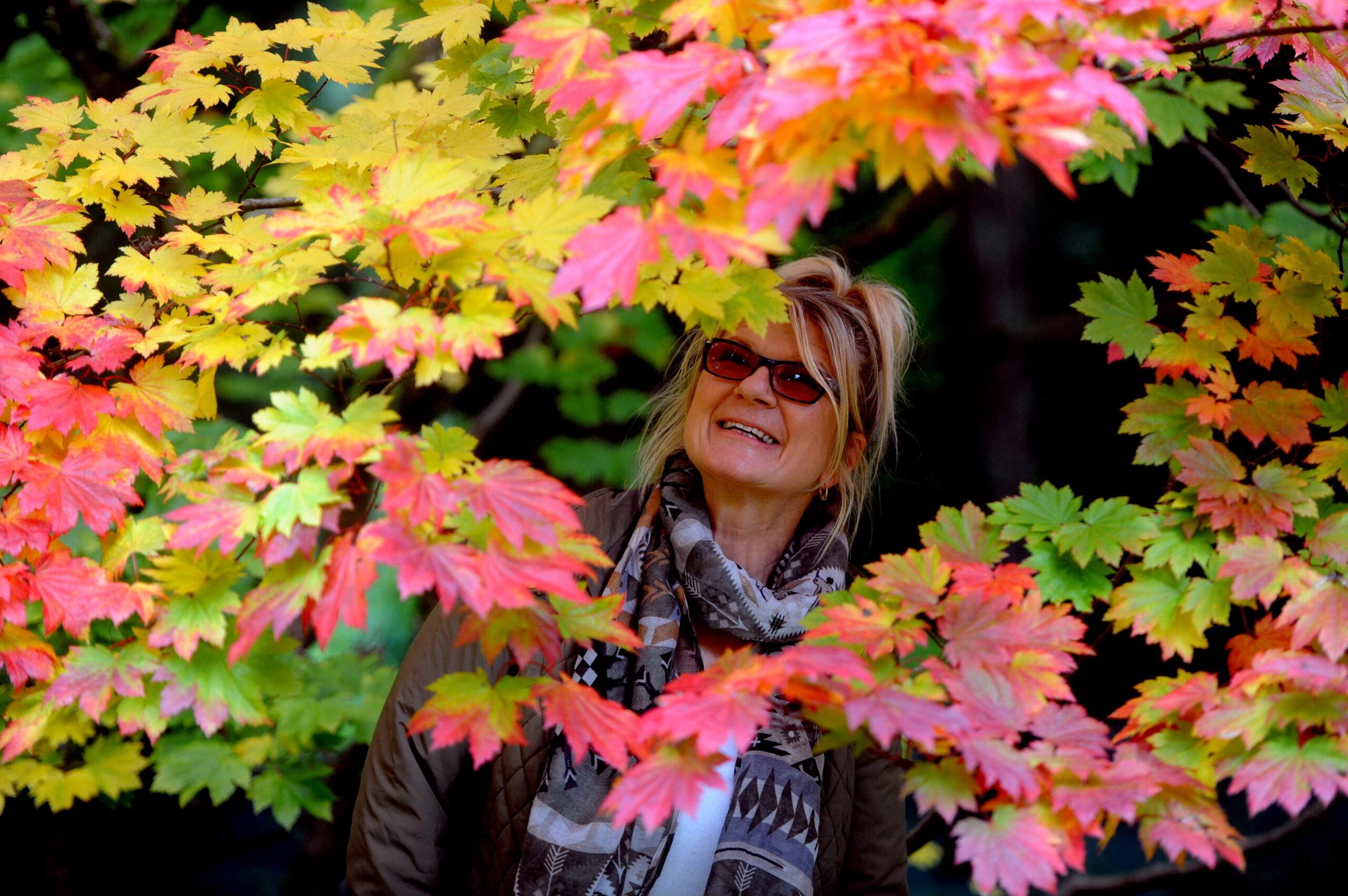 AUTUMN COLOURS AT WESTONBIRT ARBORETUM25