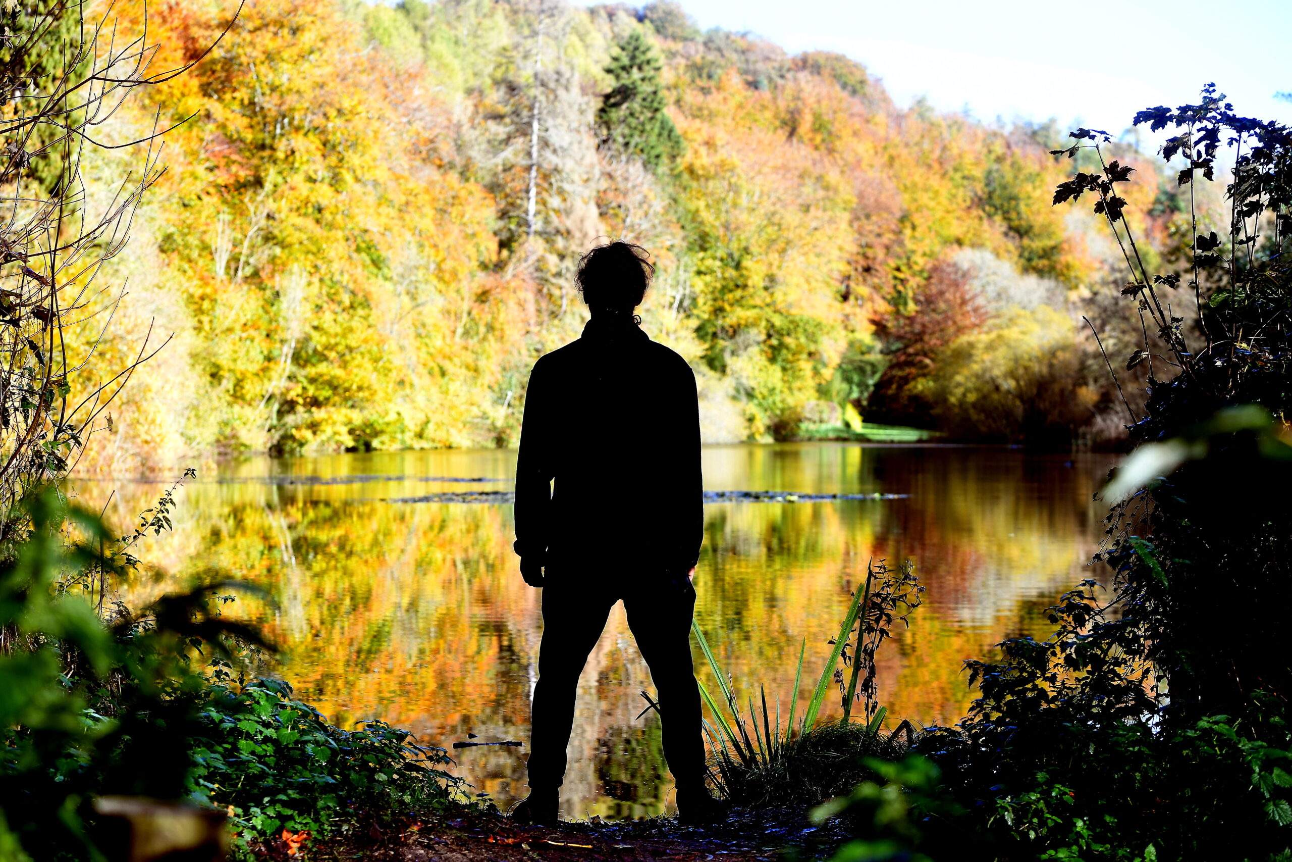 AUTUMN LAKE EASTCOMBE GLOUCESTERSHIRE11