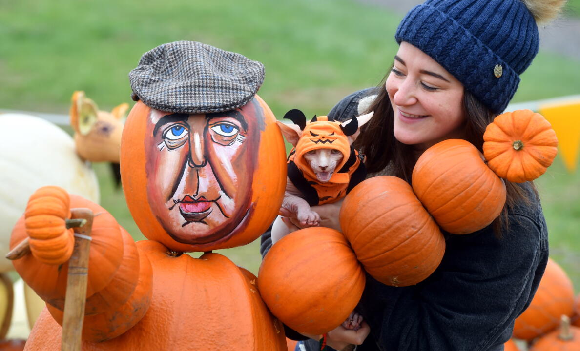 JEREMY CLARKSON TRIBUTE PUMPKIN AT OVER FARM GLOUCESTER18