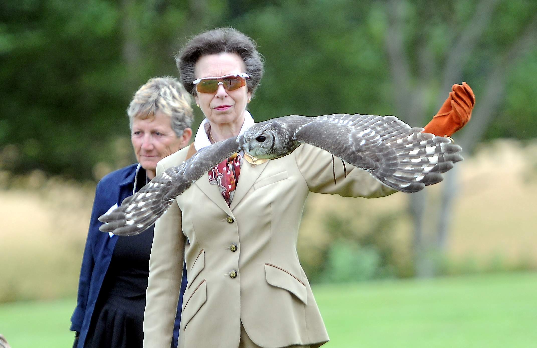 PRINCESS ROYAL BIRDS OF PREY7
